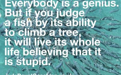 Everybody has their own strengths